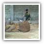 LEAF TOBACCO SHREDDED TOBACCO raw tobacco leaf dark air cured tobacco rustica tobacco FLUE CURED TOBACCO